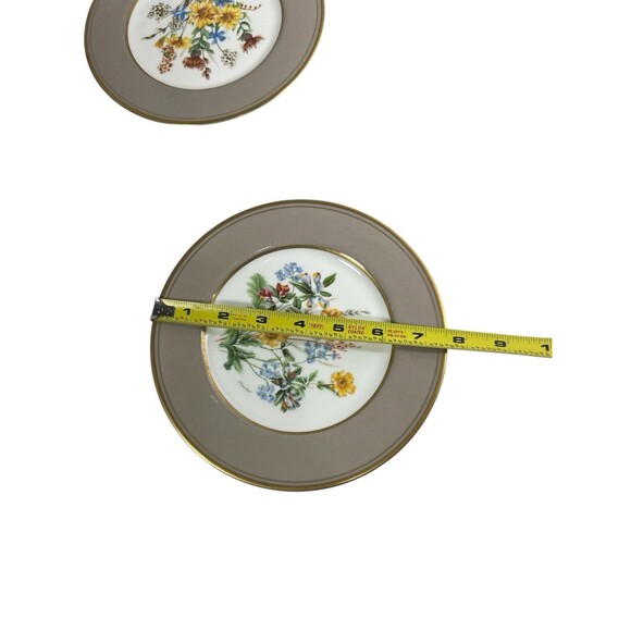 Mikasa Cathy Hardwick Parchment Taupe Appetizer Or Dessert Plate A6825 Set Of 2 - Picture 8 of 12